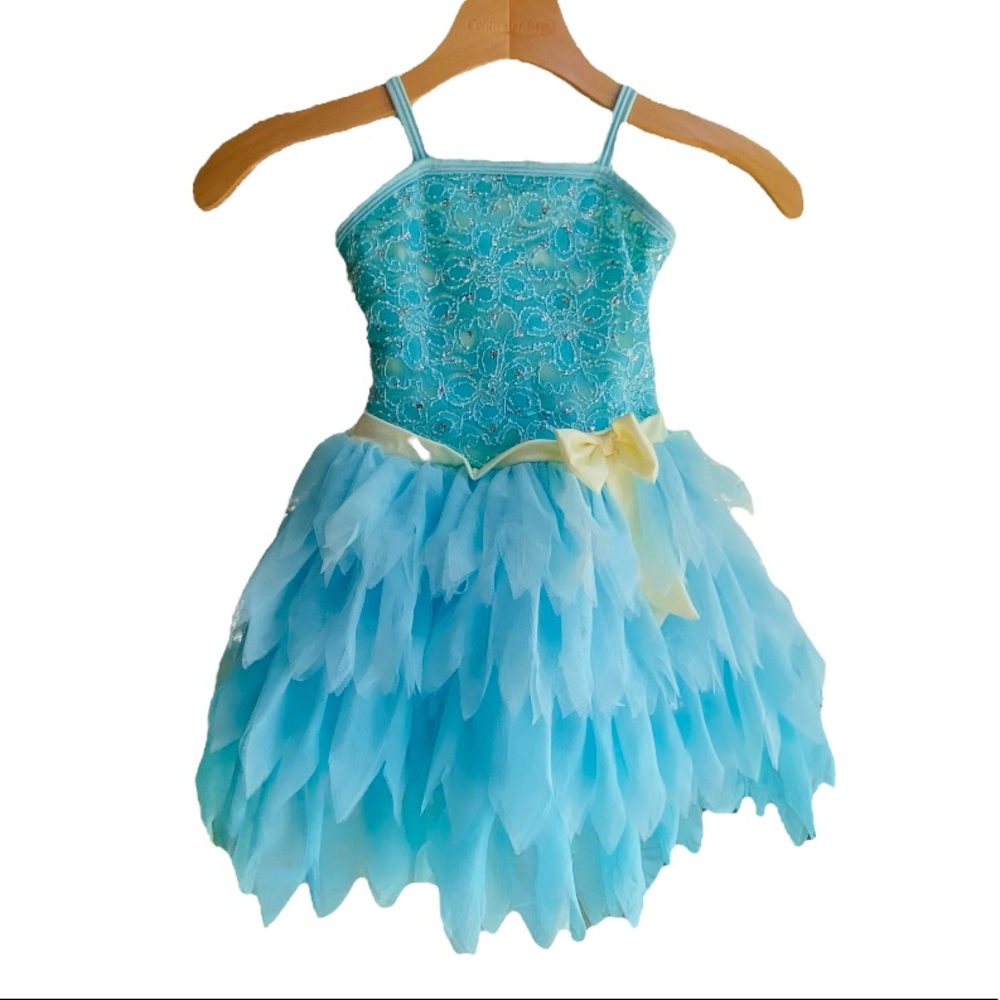 The Princess Dress!! Turquoise and baby blue dress Child’s size Small